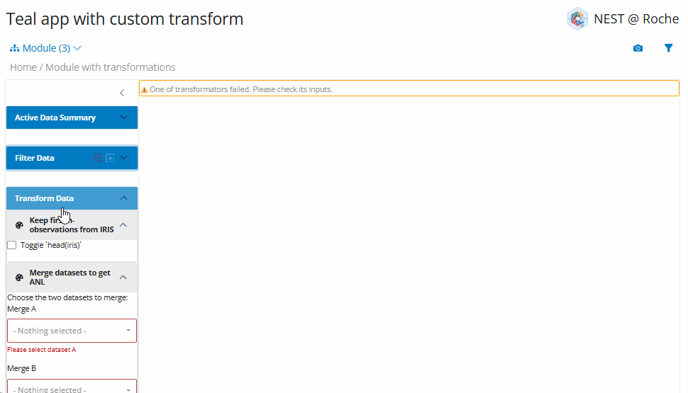 Animation of the custom-transform app