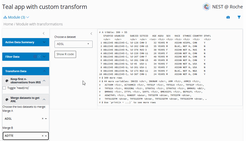 Animation of the custom-transform app