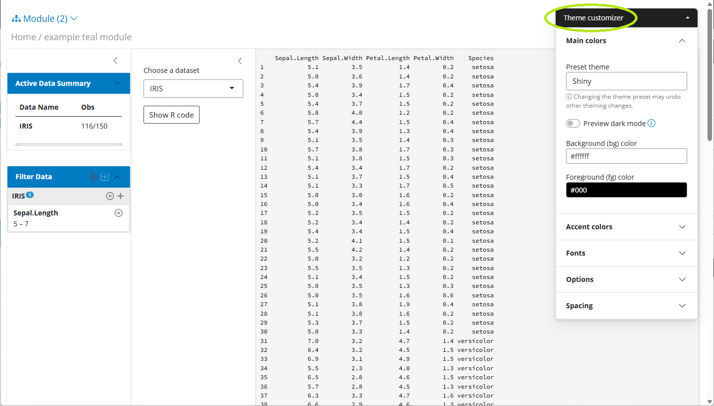 Screenshot showing a menu with some options to configure the style